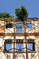 Overgrown facade of a derelict building awaiting demolition