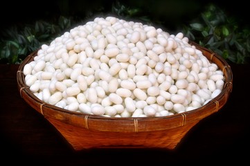 Basket of silkworm cocoons which are used to produce high quality silk textiles
