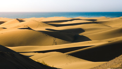 Fototapeta na wymiar Sand Dunes by a Sea