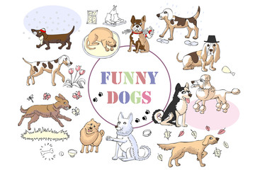 Funny Dogs Sketches. Hand drawn illustration