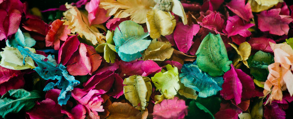 dry flower background, color background