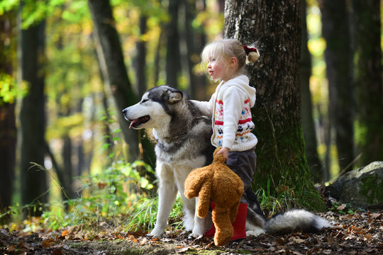 Beautiful girl walking with big dog. Best friend and companion. Cheerful young girl petting dog while standing in forest outdoor