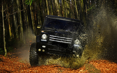 SUV or offroad car on path covered with leaves crossing puddle with dirty water splash. Offroad race on fall nature background Car racing in autumn forest. Extreme, challenge and 4x4 vehicle concept © Volodymyr