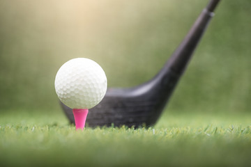 golf ball  on green grass
