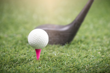 golf ball  on green grass