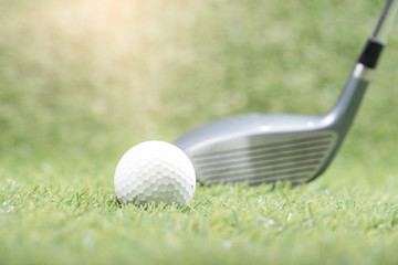 golf ball  on green grass