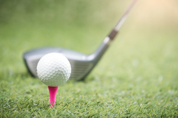 golf ball  on green grass