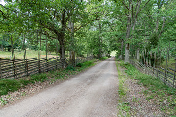 Fototapeta na wymiar straight gravel road with wooden fences