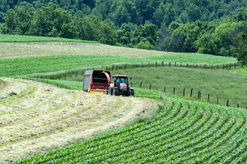 Farmer chopping haylage