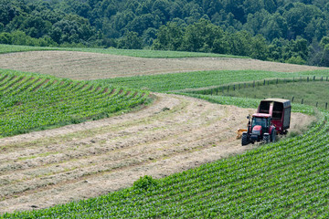 Farmer putting up haylage - landscape