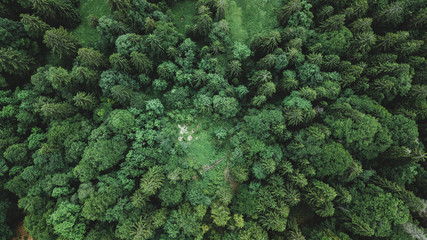 Green from Above