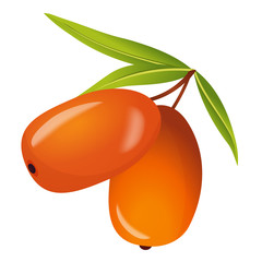 Sea Buckthorn with Leaves Icon