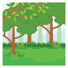 Fototapeta premium green trees forest jungle panorama scenery landscape background