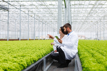 Two researches man and woman examine greenery with a tablet in an all white greenhouse