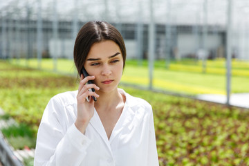 Researcher talks on the phone walking around a greenhouse