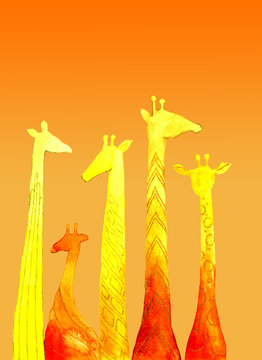 giraffes, watercolor illustration