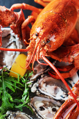 cooked lobster closeup