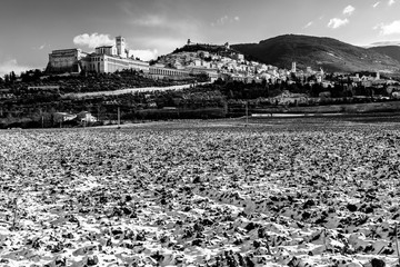 View of Assisi town (Umbria) in winter, with a field covered by snow and sky with white clouds