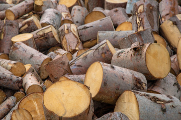 Holz - Brennholz - gesägt - Scheite - Stamm