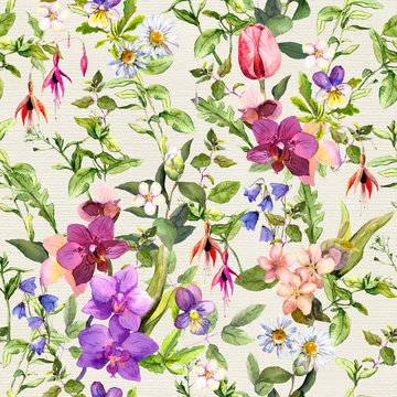 Seamless wallpaper - flowers. Meadow floral pattern for interior design. Watercolor 