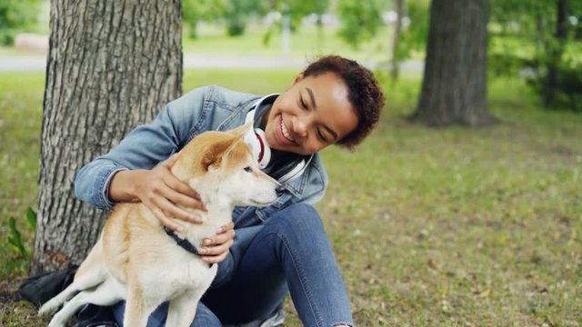 Slow motion of loving dog owner attractive girl stroking adorable shiba inu puppy fussing its fur and looking at it with adoration resting in park in summer.