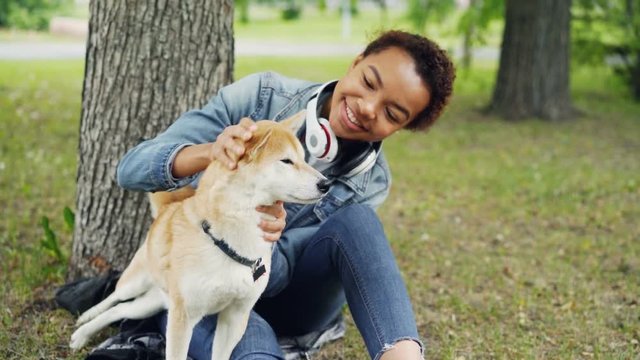 Slow motion of happy dog owner attractive young woman caressing cute shiba inu dog fussing its fur and looking at it with tenderness resting in park in summer.