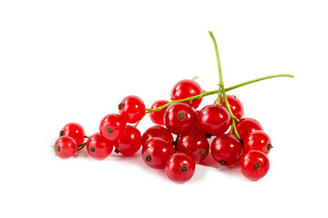 red currant isolated