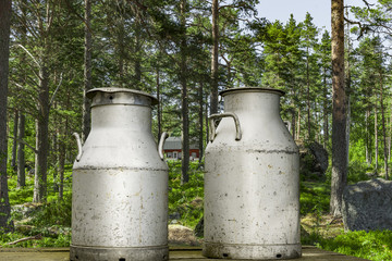 Naklejka premium Schwedenmilch