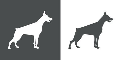 Icono plano silueta perro Doberman en gris y blanco