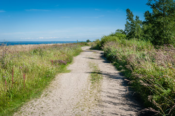 Hiking walking path on a cliff at the coast in Paldiski, Estonia. The Baltic sea.