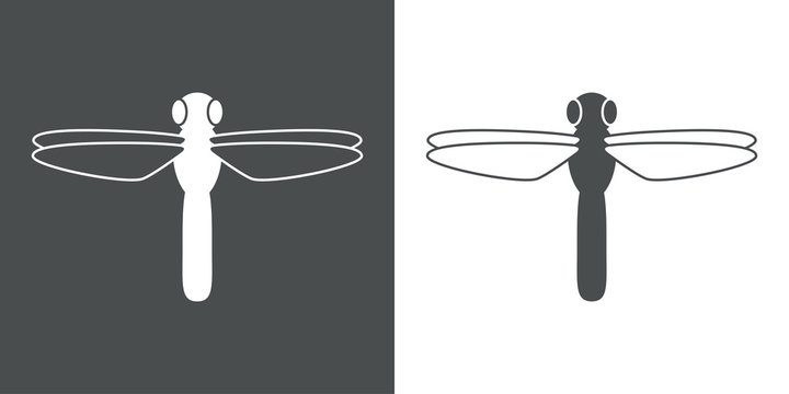 Icono plano libelula en gris y blanco