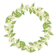 Naklejka premium Circle wreath with jasmine flowers in graphic vector realistic illustration with a lot of tiny flowers