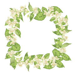 Blooming frame square wreath with jasmine flowers