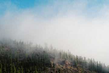 Mountain with woods in the cloud