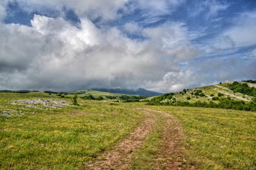 The road in the summer in the mountains, mountain landscape