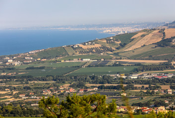 Panoramic view of olive groves and farms on rolling hills of Abruzzo and in the background the Adriatic Sea. Italy