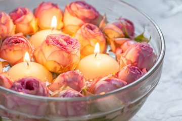 Pink roses and candles