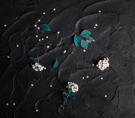 Bouquet of red poppies and white Spiraea on a black background. Wild flowers.