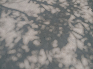 Tree leaves shadow on wall background, Abstract Background Cement Wall Shadow Light Concept