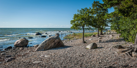 Wild rocky coastline of the Baltic sea in summer. The Gulf of Finland, Estonia..