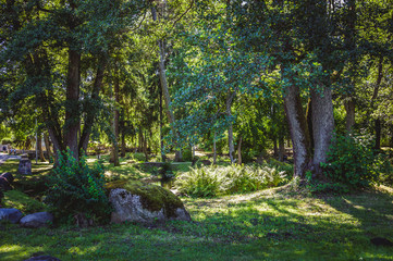 View of Glehn's Cemetery in evening sunlight. Tallinn, Estonia. A small quiet city park. Green landscape.