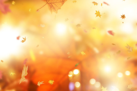 Herbstlicher Hintergrund Bokeh
