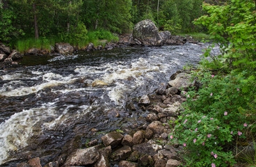 River Vazhenka (Russia)