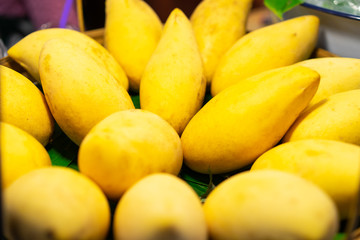 Close-up shot of fresh mangoes in the basket delicious taste. Exotic fruit in organic market. Organic fruit.