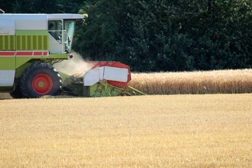 Harvest in autumn