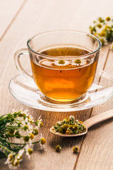 Glass cup of green tea with white chamomile flowers