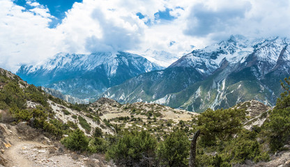 Fototapeta na wymiar Mountain landscape with trees, bushes and snowy mountains, Nepal.