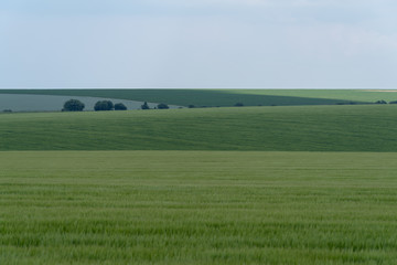 Fototapeta premium Agricultural landscape in Podolia region of Ukraine