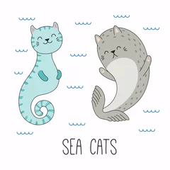 Foto op Aluminium Hand drawn vector illustration of a kawaii funny cat seahorse, seal, swimming in the sea. Isolated objects on white background. Line drawing. Design concept for children print. © Maria Skrigan