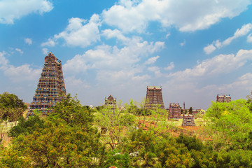 Fototapeta na wymiar The famous temple of Meenakshi.